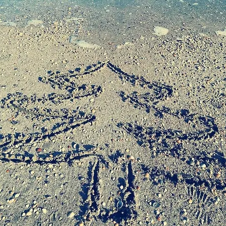 Delice דירה *